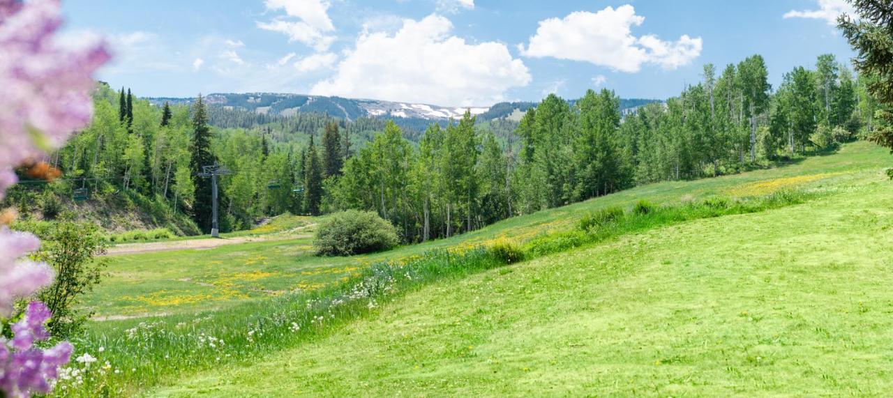 Laurelwood Condominiums 109 Snowmass Village Luaran gambar